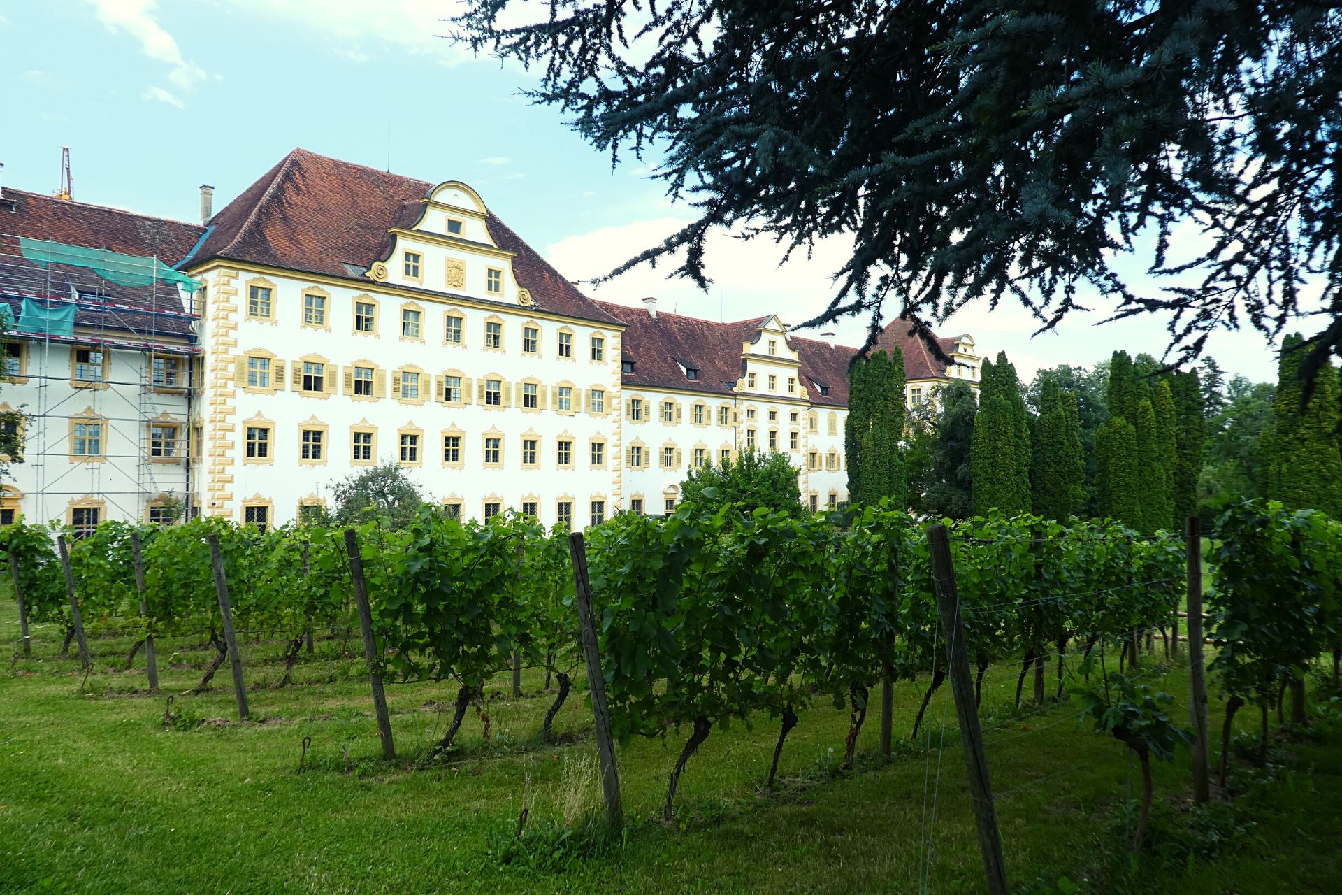 Bodenseewein: Weinbau in Kloster und Schloss Salem