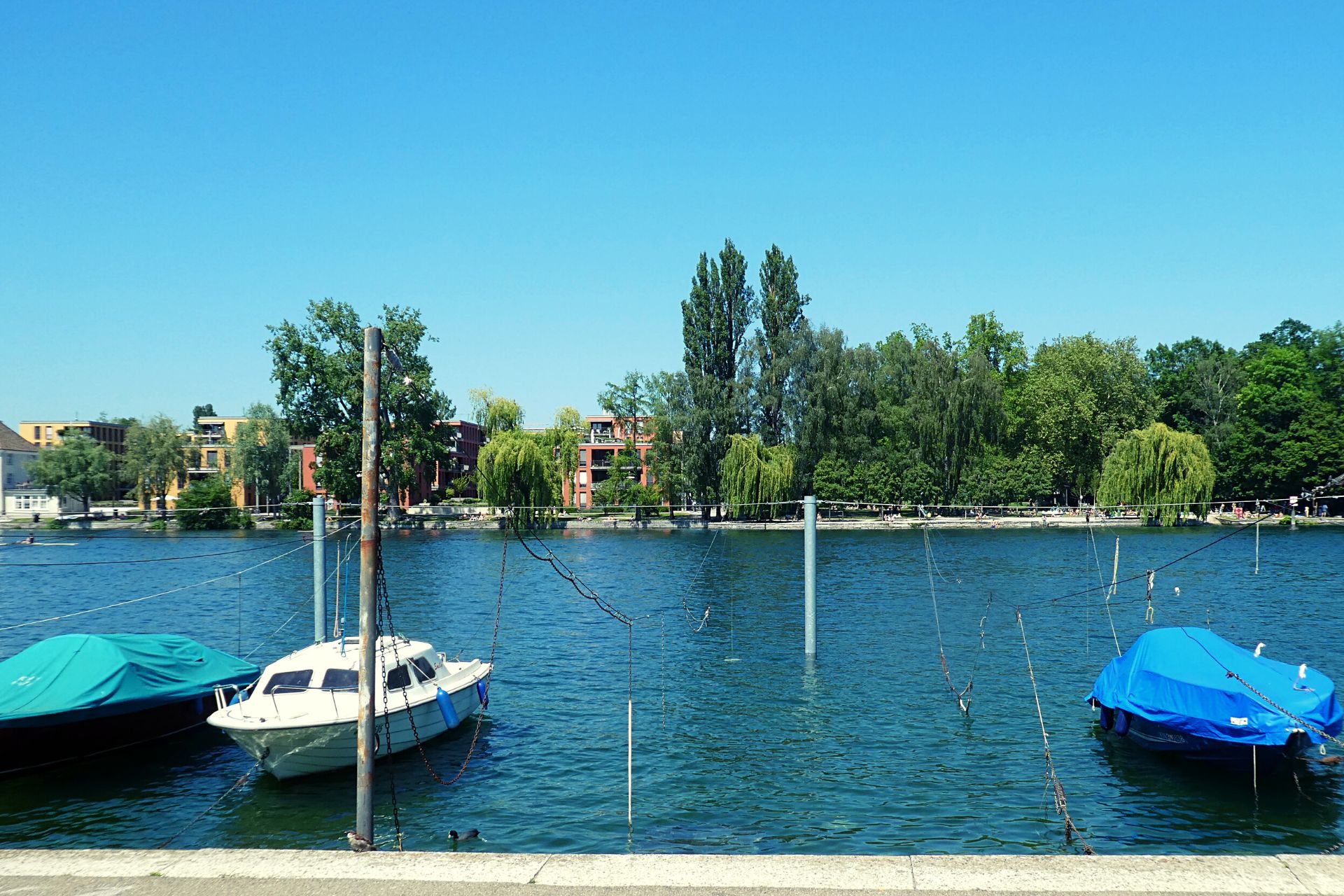 Sommer in Konstanz am Seerhein