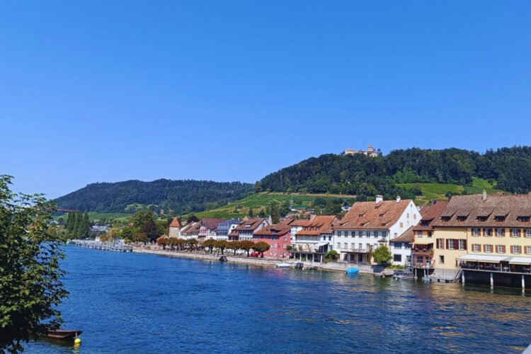 Aussicht auf den Rhein und die Burg Hohenklingen