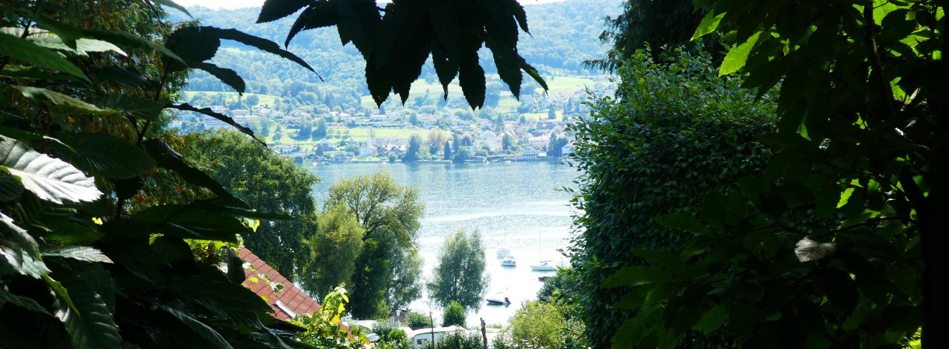 Blick vom Haus von Hermann und Mia Hesse auf den Bodensee
